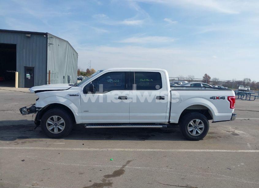 Photo 15 of 2015 Ford F-150 XLT (VIN 1FTEW1EGXFFB43186)