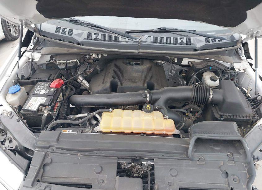 Photo 10 of 2018 Ford F-150 XLT (VIN 1FTEW1EGXJKD66571)