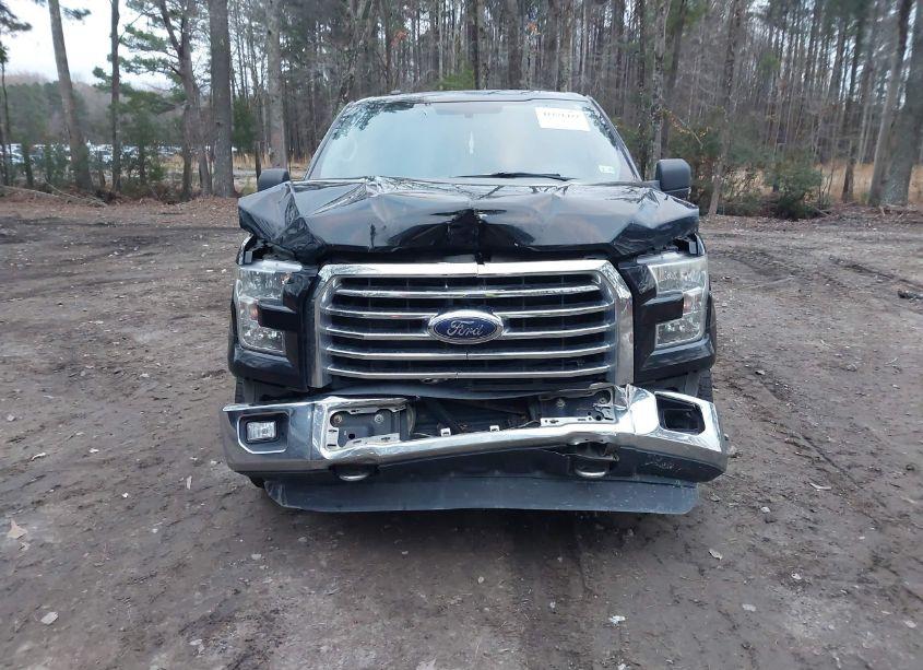 Photo 6 of 2016 Ford F-150 XLT (VIN 1FTEW1EP0GFB22316)