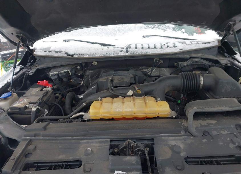 Photo 10 of 2016 Ford F-150 XLT (VIN 1FTEW1EP0GFC86181)