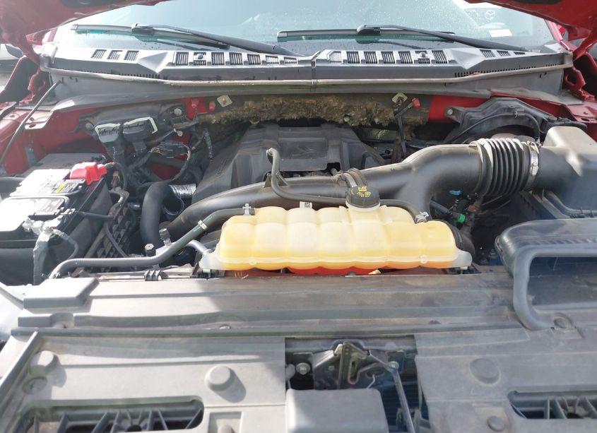 Photo 10 of 2017 Ford F-150 XLT (VIN 1FTEW1EP0HFC83623)