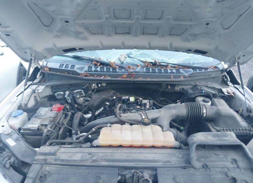 Photo 10 of 2019 Ford F-150 XL (VIN 1FTEW1EP0KFA26601)