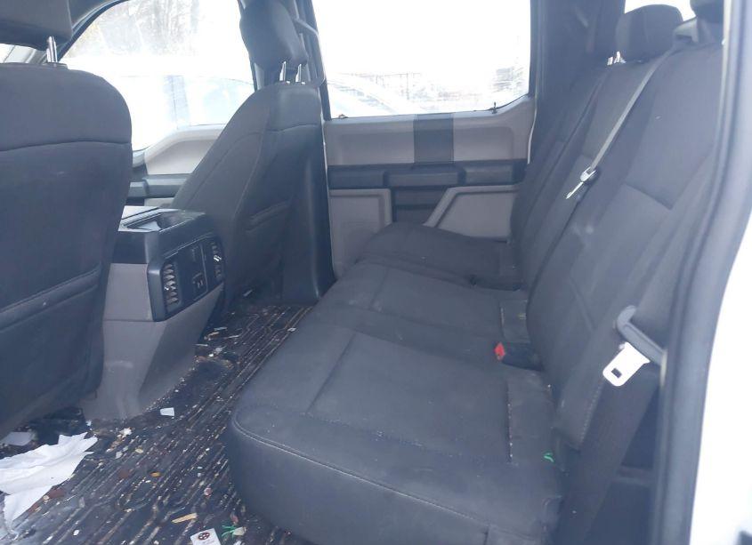 Photo 8 of 2019 Ford F-150 XL (VIN 1FTEW1EP0KFA26601)