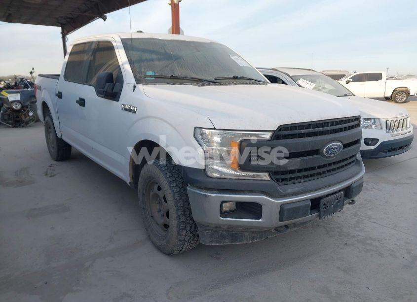 2019 Ford F-150 XL (VIN 1FTEW1EP0KKD83509) main photo