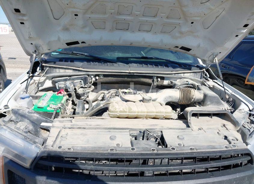 Photo 10 of 2019 Ford F-150 XL (VIN 1FTEW1EP0KKD83509)