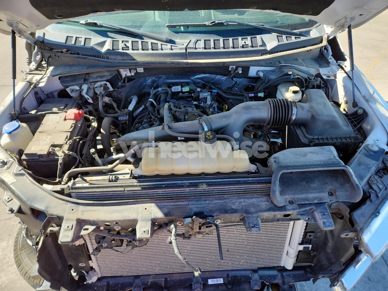 Photo 11 of 2020 FORD F150 SUPERCREW (VIN 1FTEW1EP0LFB30880)