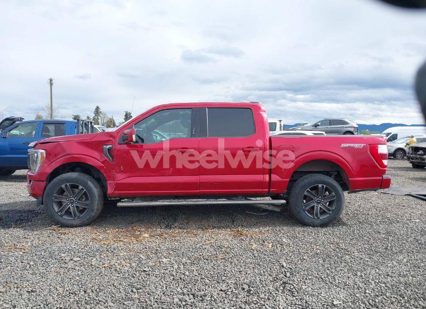 Photo 14 of 2021 Ford F-150 LARIAT (VIN 1FTEW1EP0MFB11361)