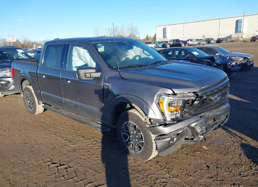 2023 Ford F-150 XLT (VIN 1FTEW1EP0PKD95599) main photo
