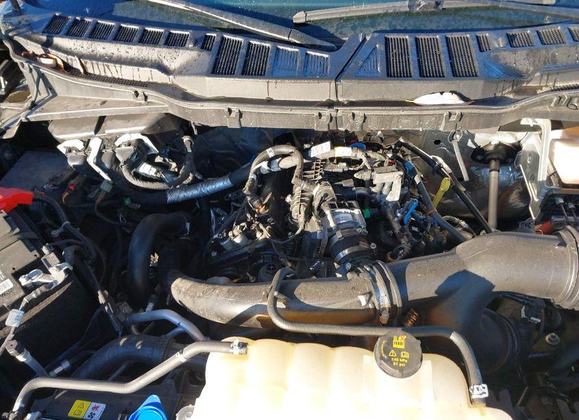 Photo 10 of 2023 Ford F-150 XLT (VIN 1FTEW1EP0PKD95599)