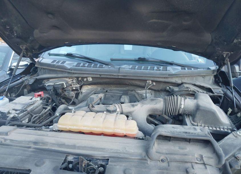 Photo 10 of 2016 Ford F-150 XLT (VIN 1FTEW1EP1GKF92894)