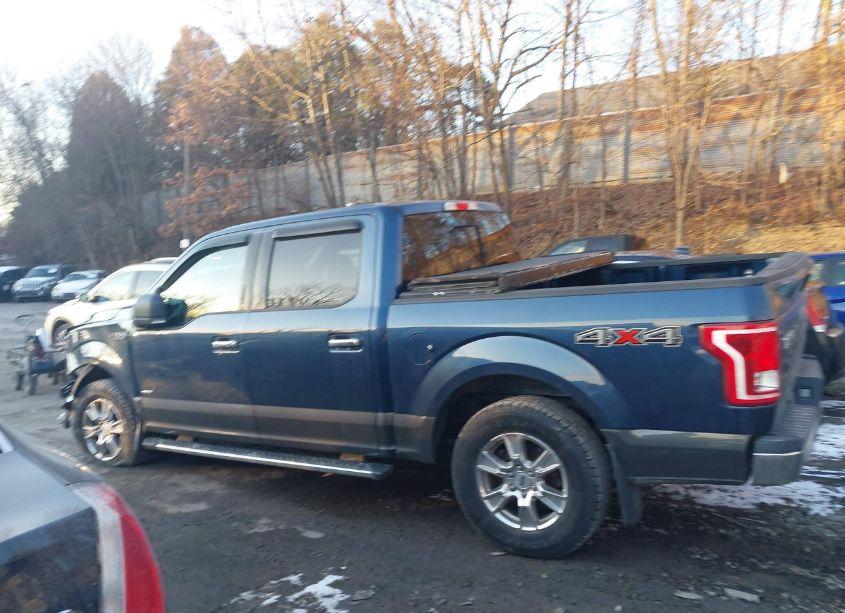 Photo 14 of 2016 Ford F-150 XLT (VIN 1FTEW1EP1GKF92894)