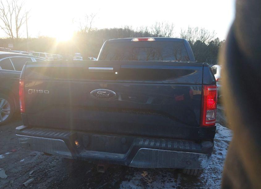 Photo 16 of 2016 Ford F-150 XLT (VIN 1FTEW1EP1GKF92894)