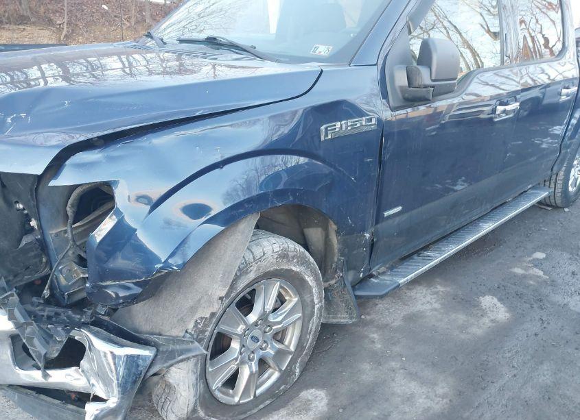 Photo 17 of 2016 Ford F-150 XLT (VIN 1FTEW1EP1GKF92894)