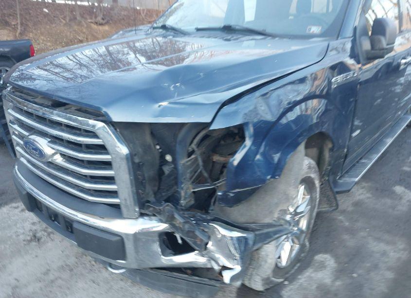 Photo 18 of 2016 Ford F-150 XLT (VIN 1FTEW1EP1GKF92894)