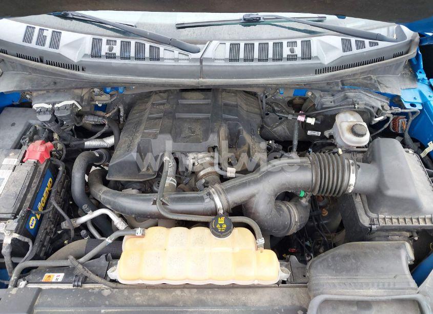 Photo 10 of 2017 Ford F-150 XLT (VIN 1FTEW1EP1HFC10695)