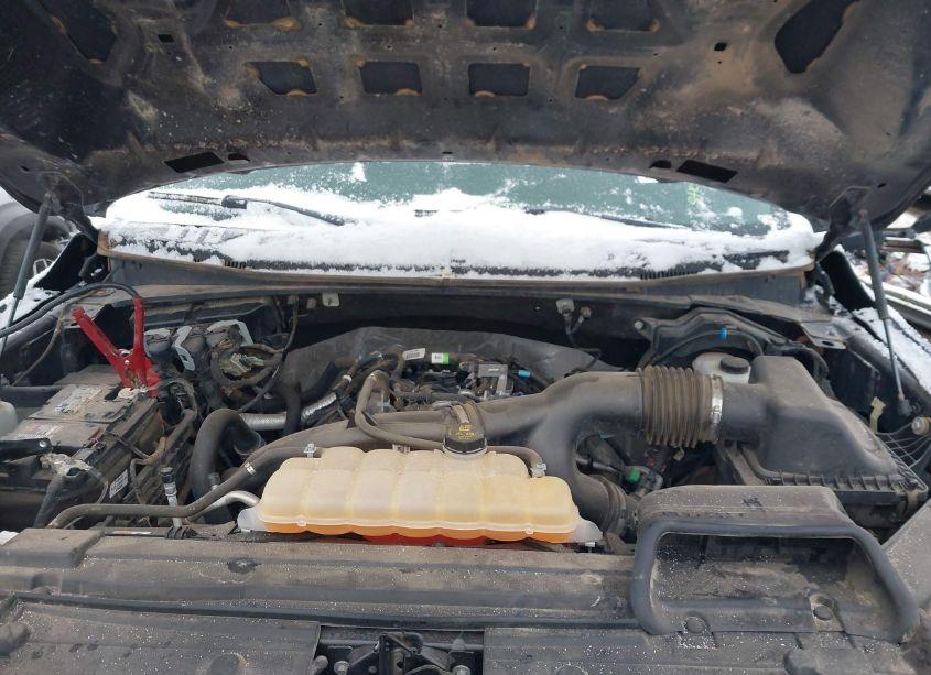 Photo 10 of 2019 Ford F-150 XL (VIN 1FTEW1EP1KFA16286)