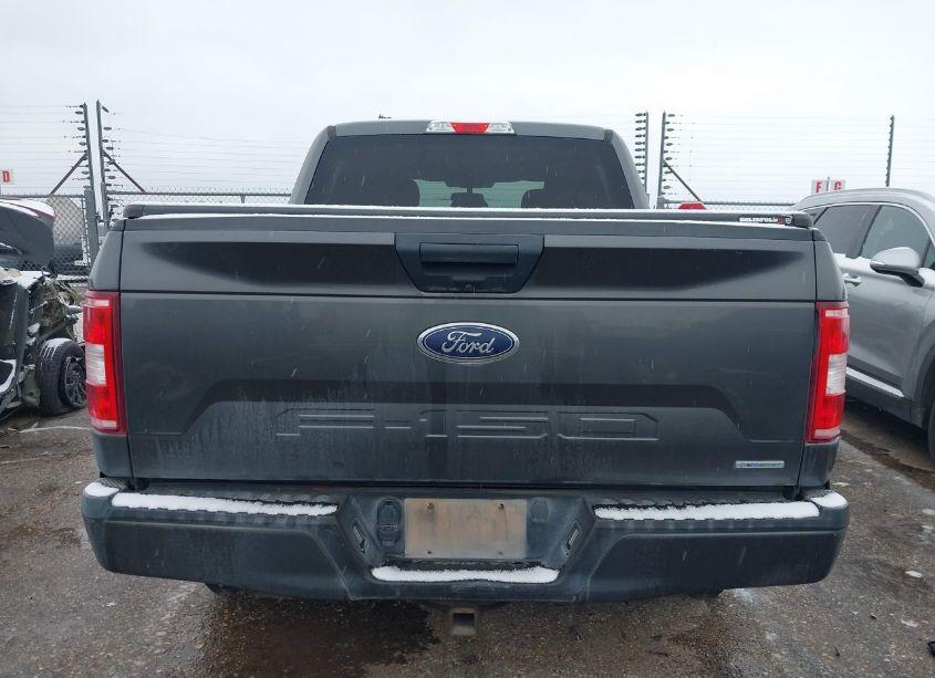 Photo 16 of 2019 Ford F-150 XL (VIN 1FTEW1EP1KFA16286)