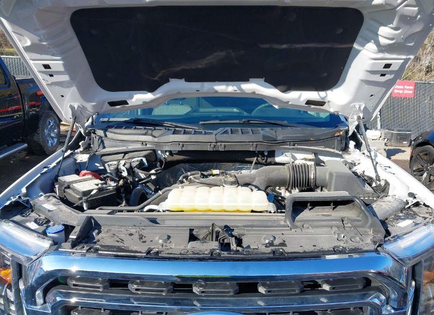 Photo 10 of 2023 Ford F-150 XLT (VIN 1FTEW1EP1PFC59328)