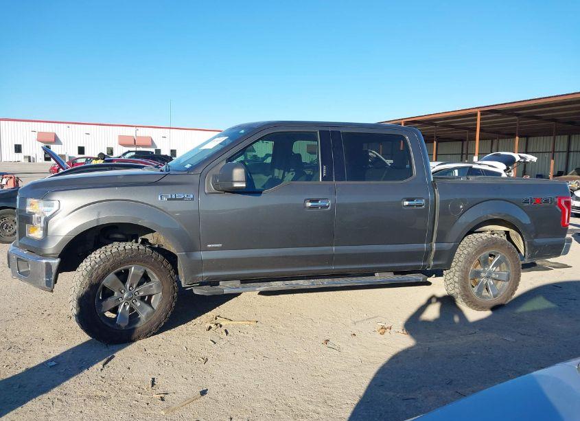 Photo 14 of 2016 Ford F-150 XLT (VIN 1FTEW1EP2GKE01225)