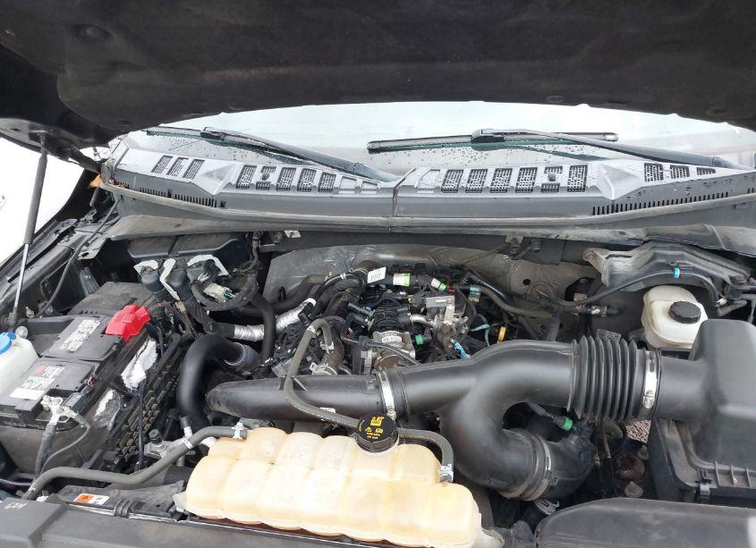 Photo 10 of 2019 Ford F-150 XLT (VIN 1FTEW1EP2KFA78828)