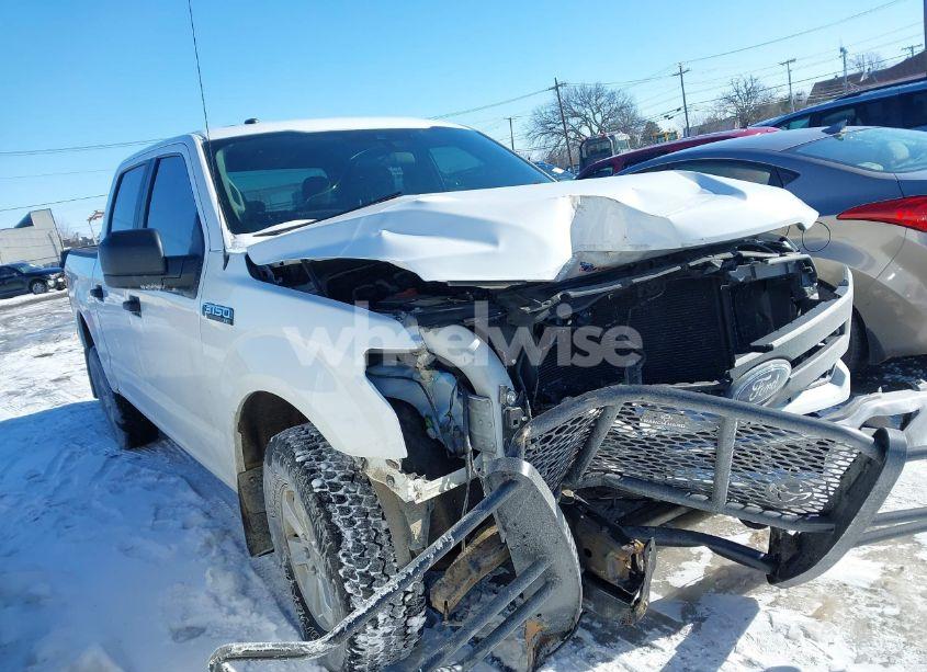 2019 Ford F-150 XL (VIN 1FTEW1EP2KFC24354) main photo