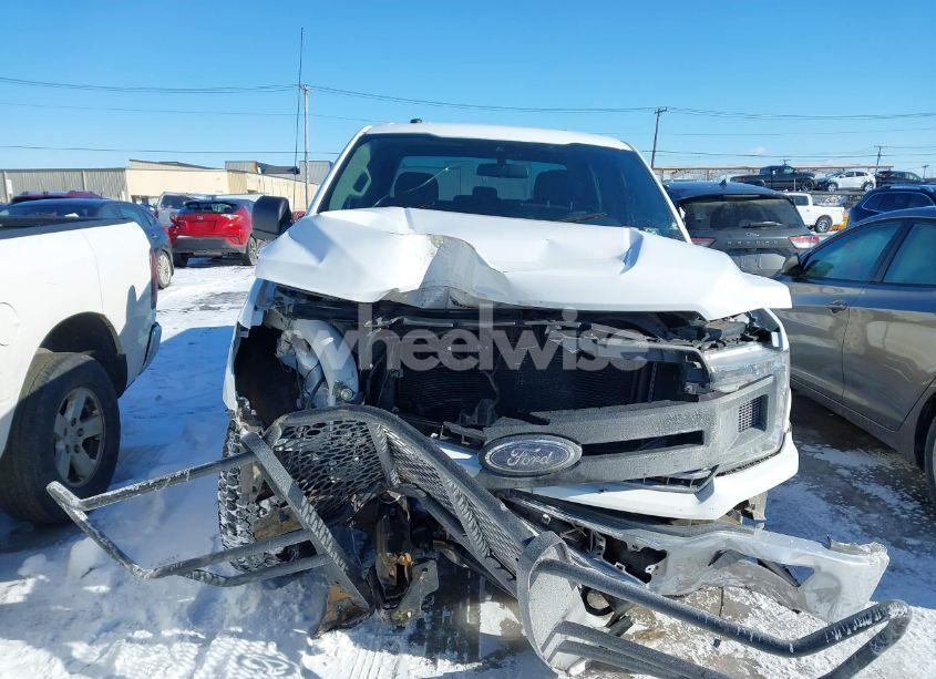 Photo 12 of 2019 Ford F-150 XL (VIN 1FTEW1EP2KFC24354)