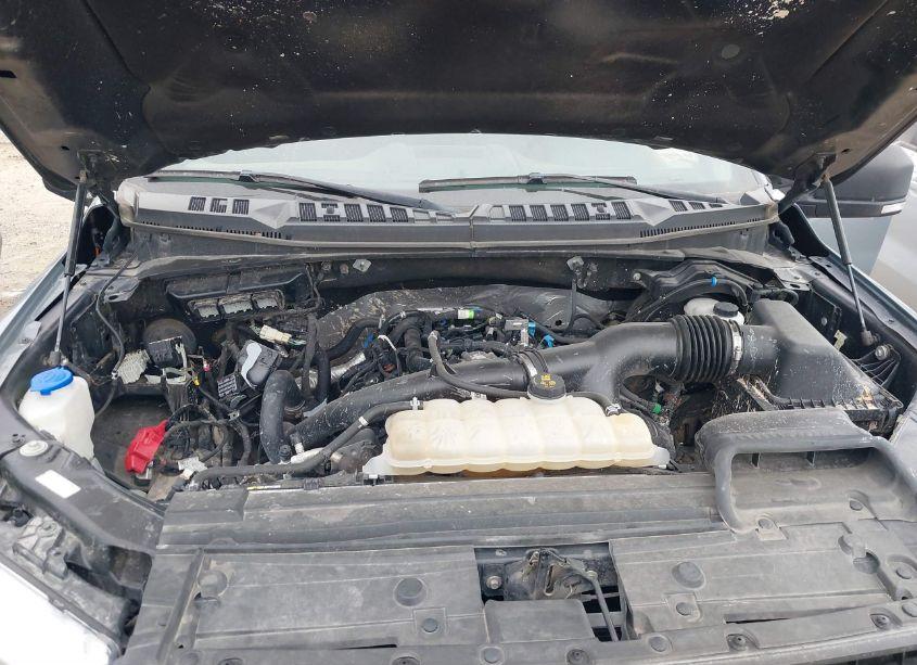 Photo 10 of 2019 Ford F-150 XLT (VIN 1FTEW1EP2KFC44491)