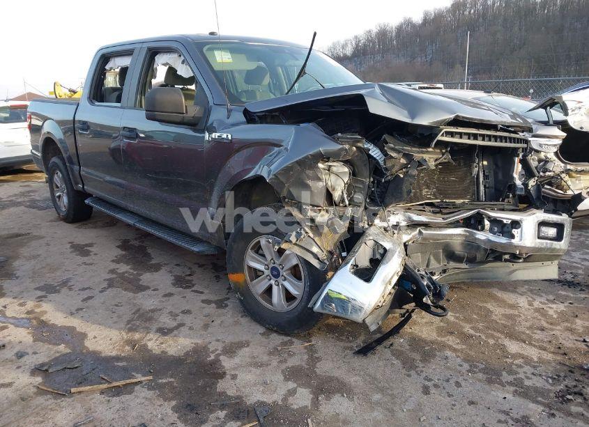 2019 Ford F-150 XL (VIN 1FTEW1EP2KFC61694) main photo