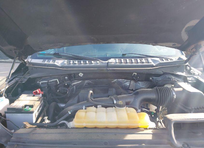 Photo 10 of 2015 Ford F-150 XLT (VIN 1FTEW1EP3FFC84259)