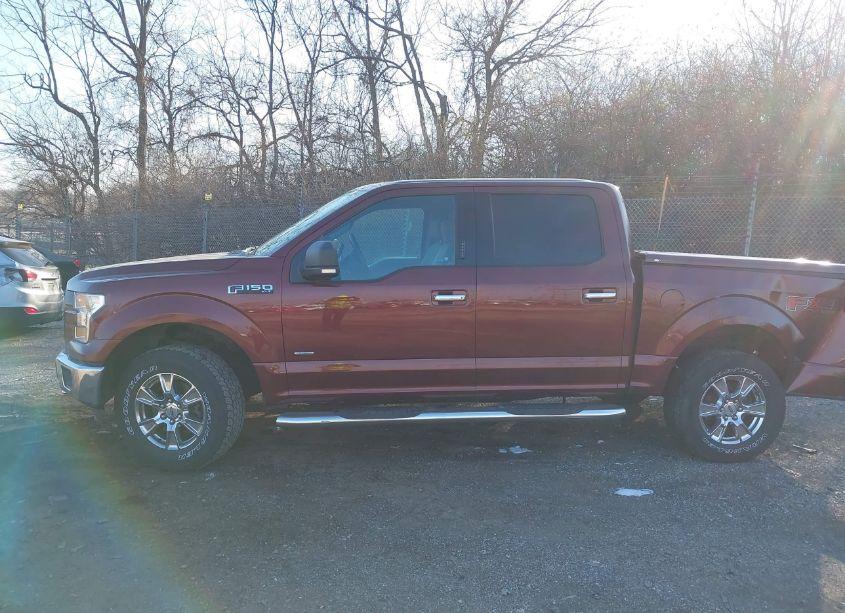 Photo 15 of 2016 Ford F-150 XLT (VIN 1FTEW1EP3GFA10187)