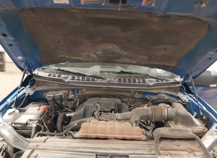 Photo 10 of 2016 Ford F-150 XLT (VIN 1FTEW1EP3GFA13834)