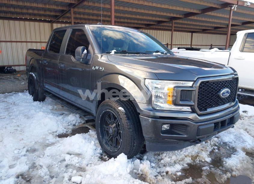 2019 Ford F-150 XL (VIN 1FTEW1EP3KKC84568) main photo