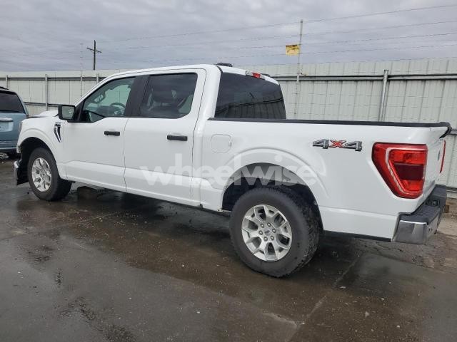 Photo 7 of 2023 FORD F150 SUPERCREW (VIN 1FTEW1EP3PFC53689)