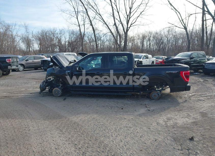Photo 14 of 2023 Ford F-150 XLT (VIN 1FTEW1EP3PKD48647)