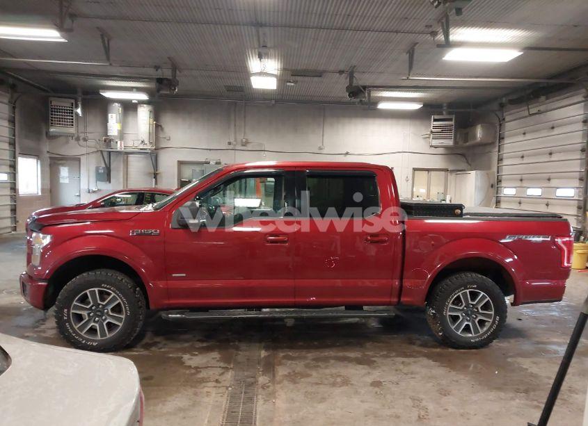 Photo 14 of 2015 Ford F-150 XLT (VIN 1FTEW1EP4FKE13794)