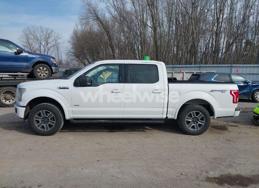 Photo 15 of 2016 Ford F-150 XLT (VIN 1FTEW1EP4GFC58013)