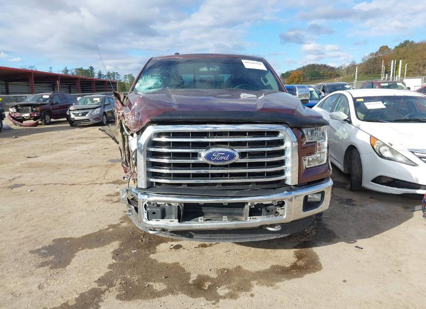 Photo 13 of 2016 Ford F-150 XLT (VIN 1FTEW1EP4GFC81923)