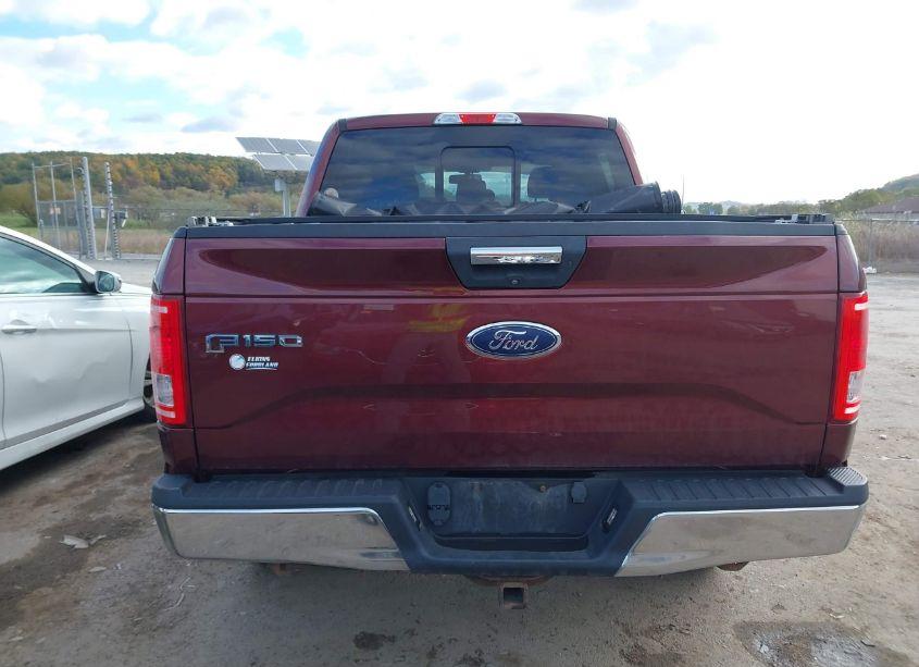 Photo 17 of 2016 Ford F-150 XLT (VIN 1FTEW1EP4GFC81923)