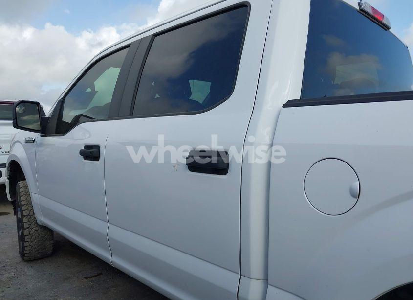 Photo 14 of 2019 Ford F-150 XL (VIN 1FTEW1EP4KKD49573)