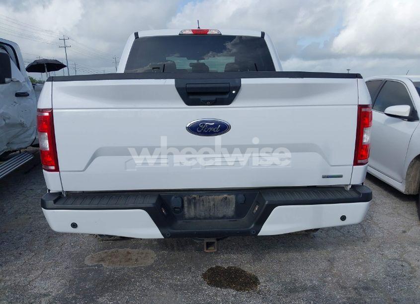 Photo 16 of 2019 Ford F-150 XL (VIN 1FTEW1EP4KKD49573)