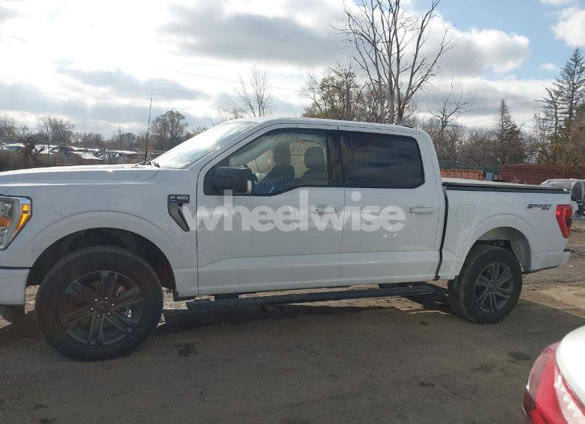 Photo 14 of 2023 Ford F-150 XLT (VIN 1FTEW1EP4PKG10630)