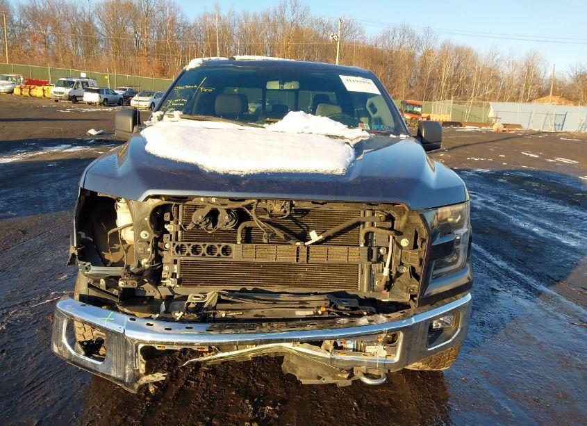 Photo 12 of 2016 Ford F-150 XLT (VIN 1FTEW1EP5GFA70634)