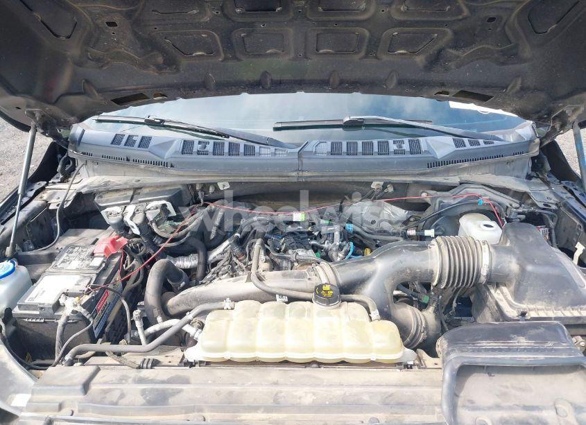 Photo 10 of 2019 Ford F-150 XL (VIN 1FTEW1EP5KKD10667)