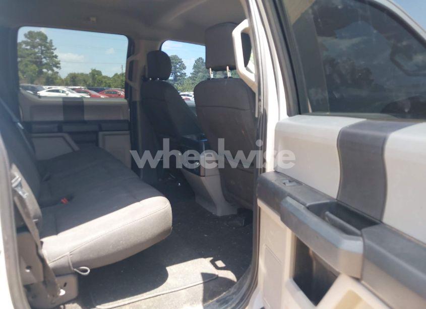 Photo 8 of 2019 Ford F-150 XL (VIN 1FTEW1EP5KKD24620)