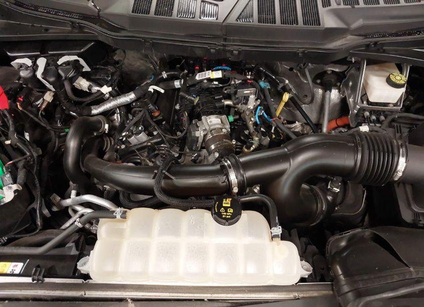 Photo 10 of 2021 Ford F-150 LARIAT (VIN 1FTEW1EP5MKE13140)