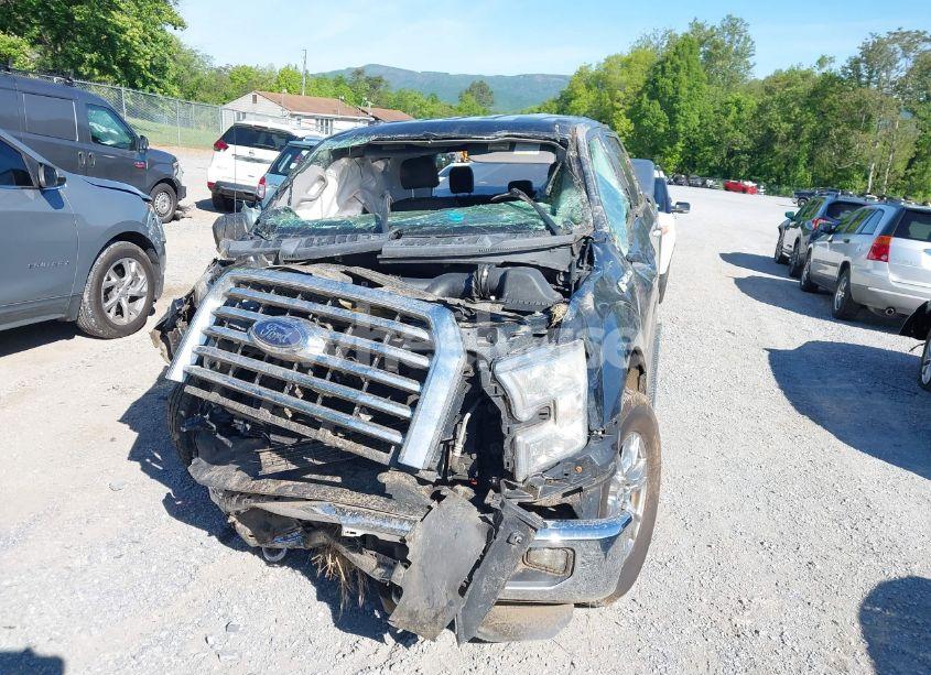 Photo 13 of 2016 Ford F-150 XLT (VIN 1FTEW1EP6GFA07557)