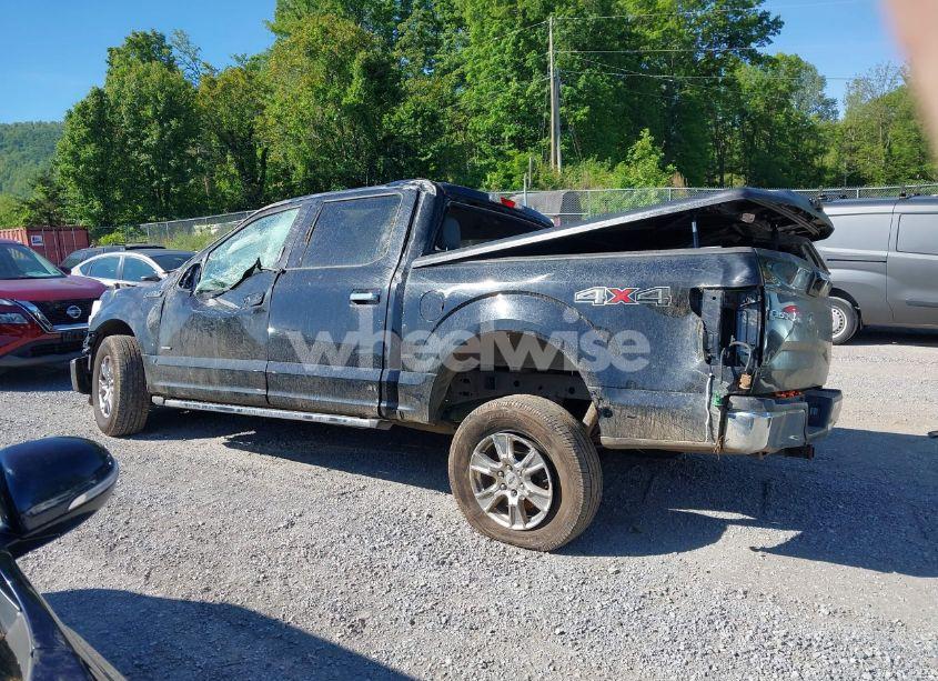 Photo 15 of 2016 Ford F-150 XLT (VIN 1FTEW1EP6GFA07557)