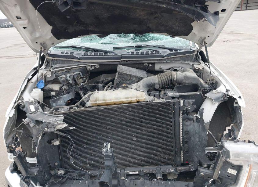 Photo 10 of 2019 Ford F-150 XLT (VIN 1FTEW1EP6KFC83116)