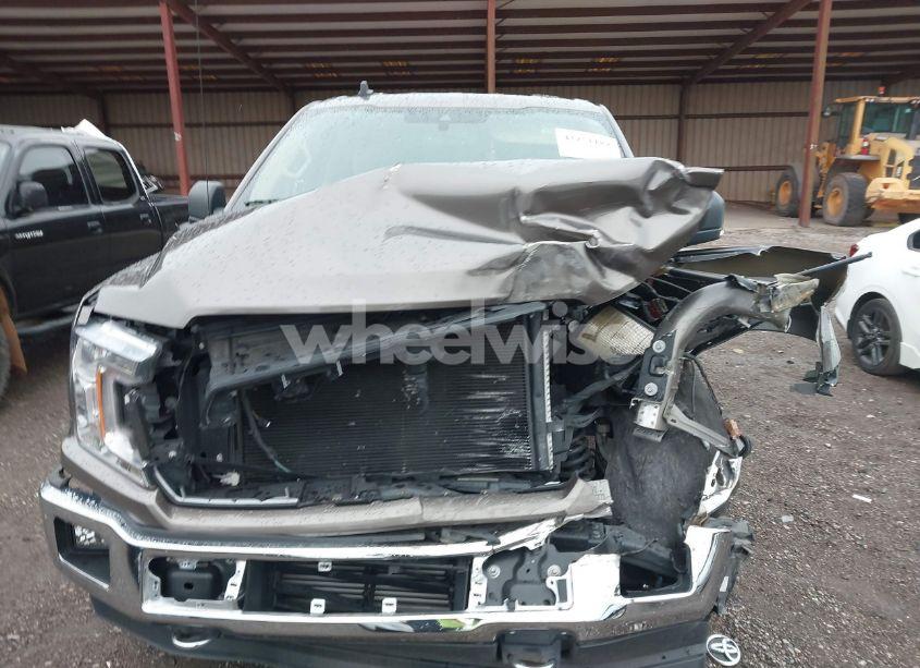 Photo 12 of 2019 Ford F-150 XLT (VIN 1FTEW1EP6KFD40012)