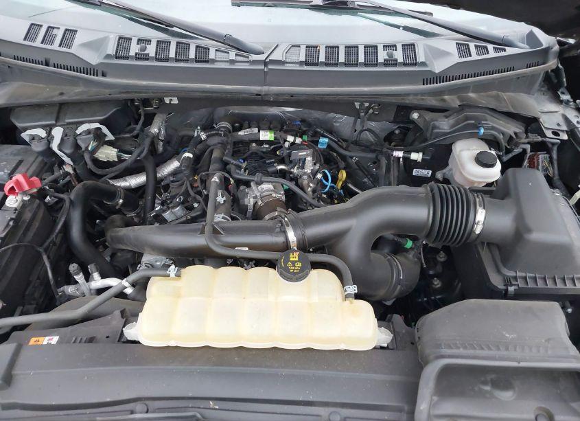 Photo 10 of 2020 Ford F-150 XLT (VIN 1FTEW1EP6LKE82837)